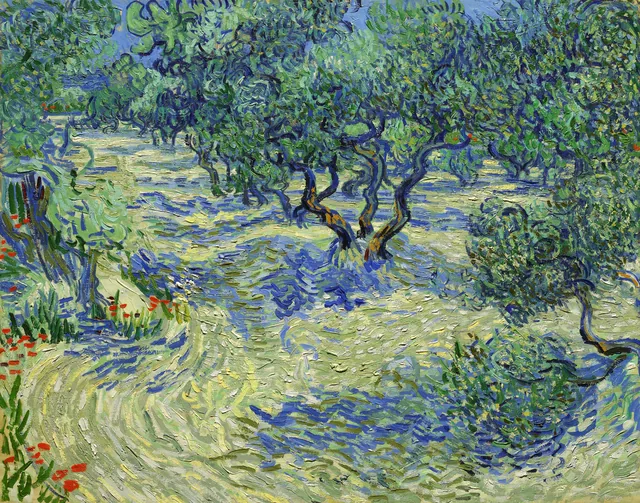 Zeytinlik - Olive Orchard