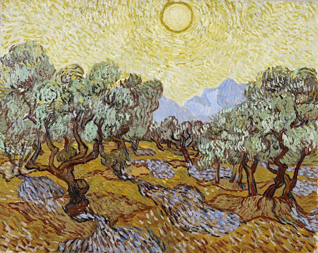 Zeytin Ağaçları - Olive Trees