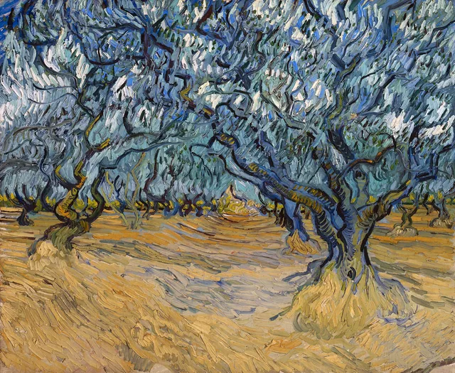 Zeytin Ağaçları - Olive Trees