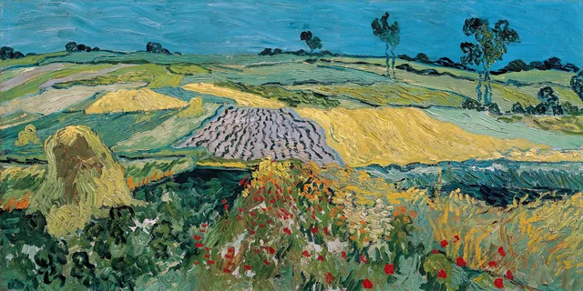 Auvers Ovası - The Plain of Auvers