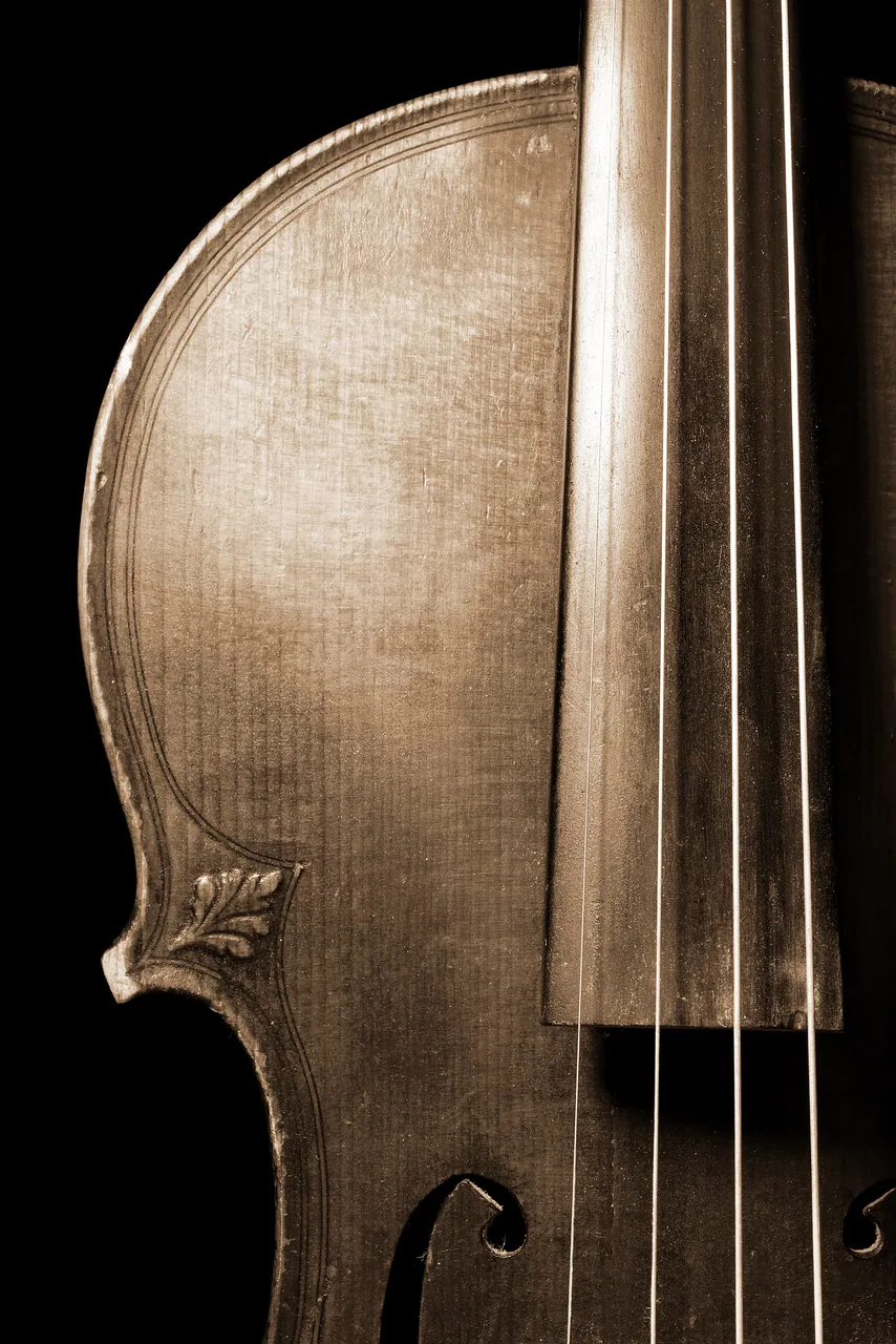 Keman kanvas tablo