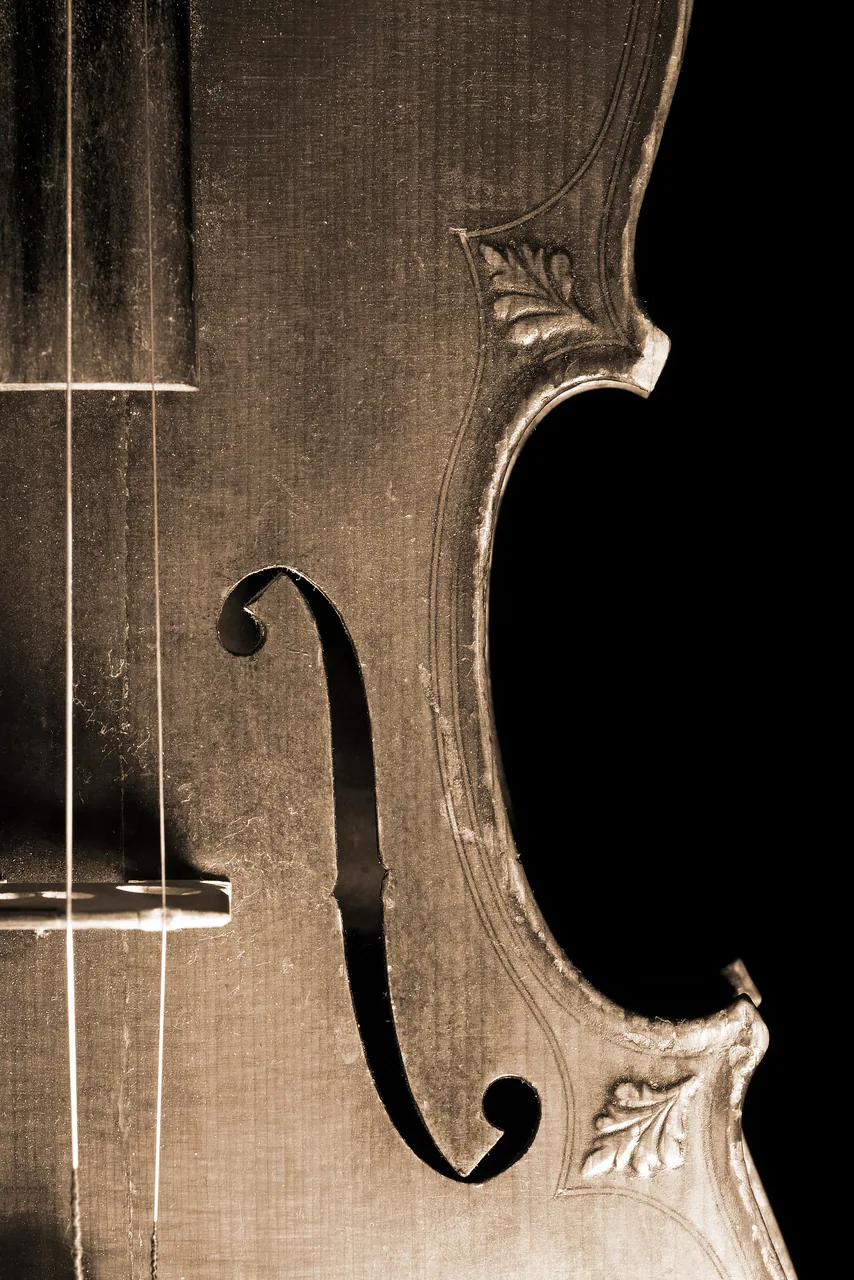 Keman kanvas tablo