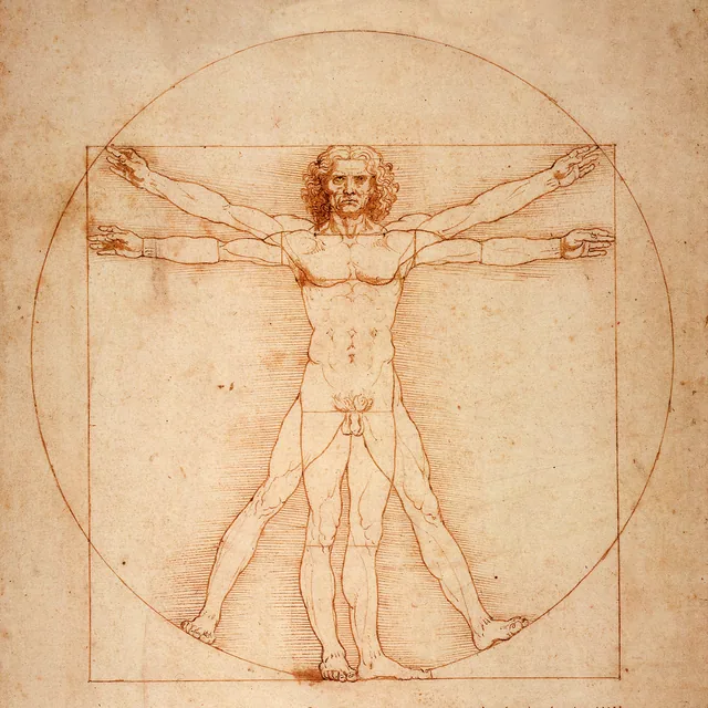 Vitruvius Adamı - Vitruvian Man
