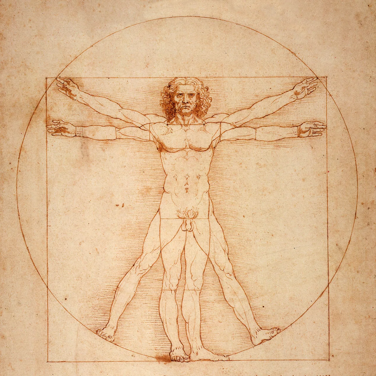 Vitruvius Adamı kanvas tablo