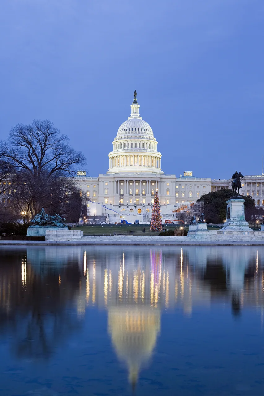 Washington DC kanvas tablo
