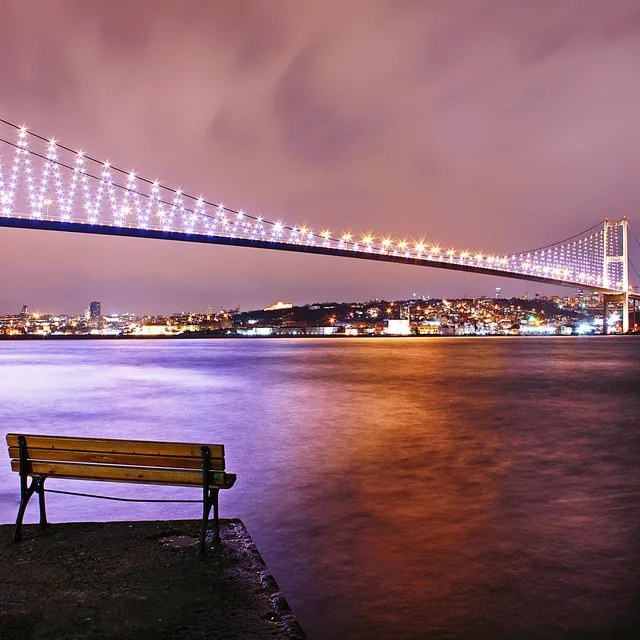 Yalnız Gece