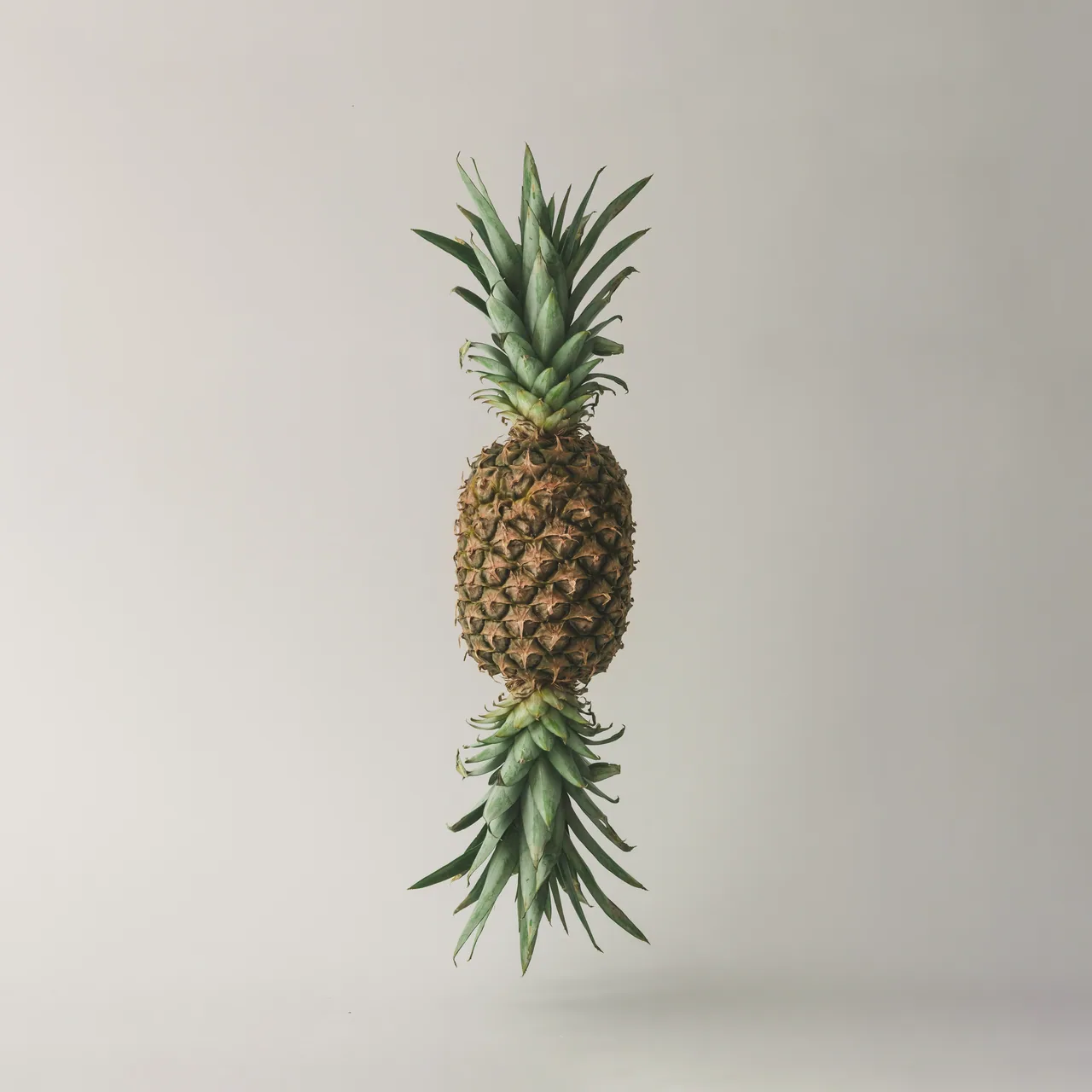 Ananas Klon kanvas tablo