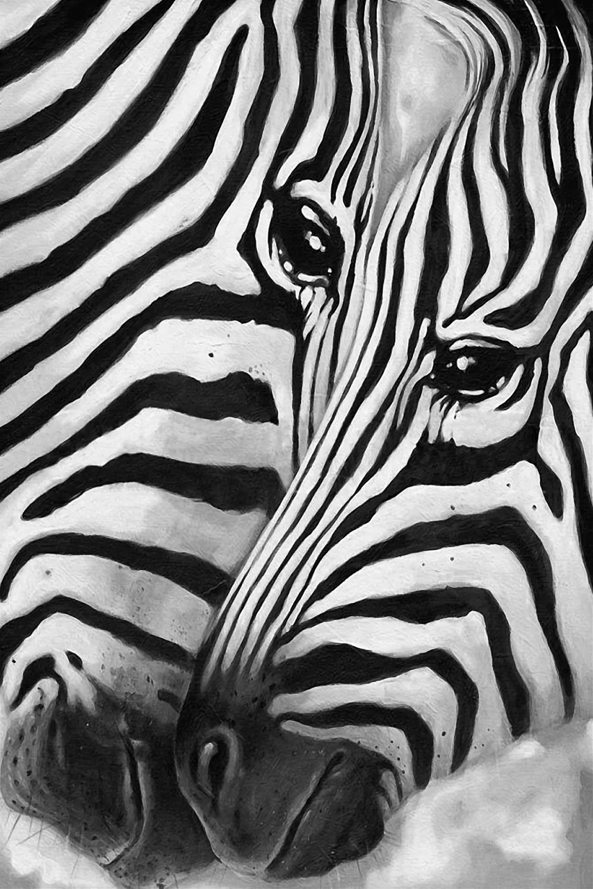 Zebra kanvas tablo