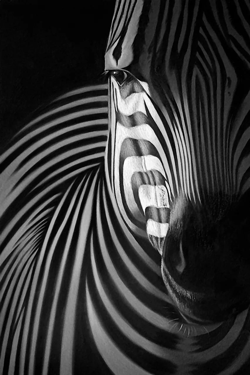 Zebra kanvas tablo